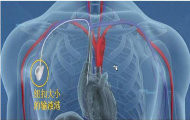 QQ圖片20200805165414.png QQ圖片20200805165414.png