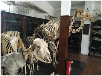 QQ圖片20200901145509.png QQ圖片20200901145509.png