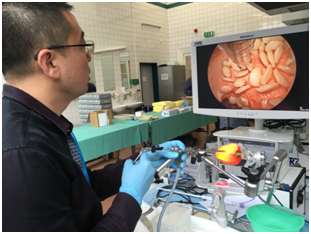 QQ圖片20200901150723.png QQ圖片20200901150723.png