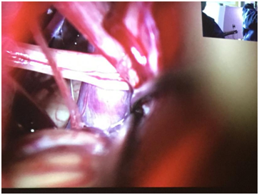 QQ圖片20200901150946.png QQ圖片20200901150946.png