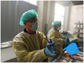 QQ圖片20200901151107.png QQ圖片20200901151107.png