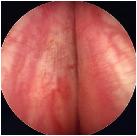 QQ圖片20201214102000.png QQ圖片20201214102000.png