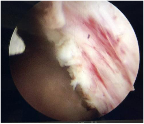 QQ圖片20201214102219.png QQ圖片20201214102219.png