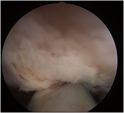 QQ圖片20201214102358.png QQ圖片20201214102358.png