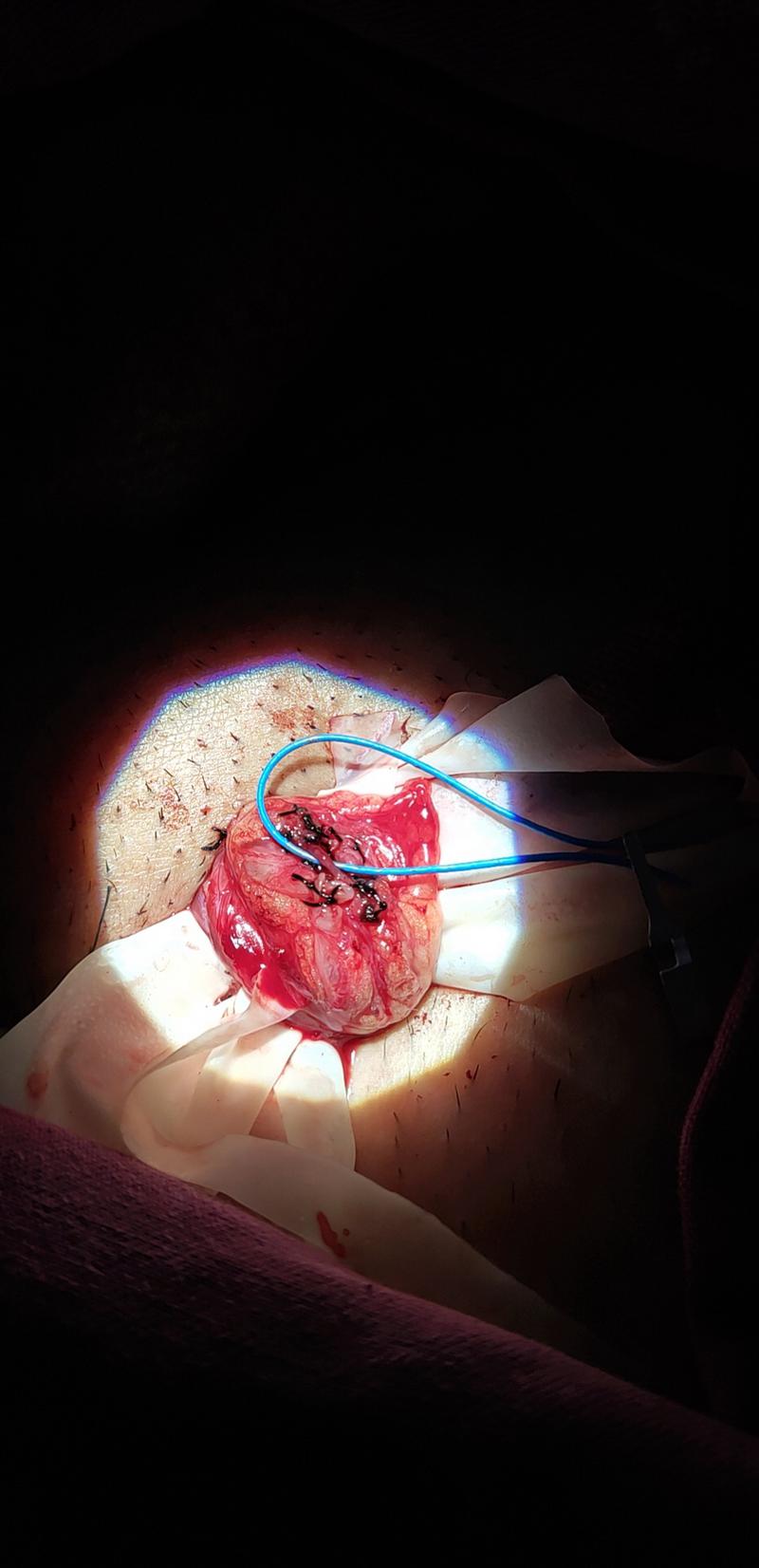 微信圖片_20210816115340.jpg 微信圖片_20210816115340.jpg