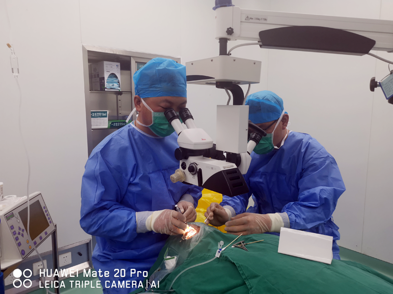 圖片33.png 圖片33.png