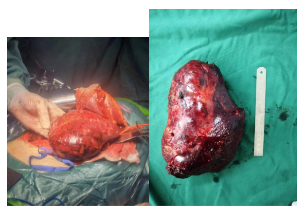 QQ圖片20220506161950.png QQ圖片20220506161950.png