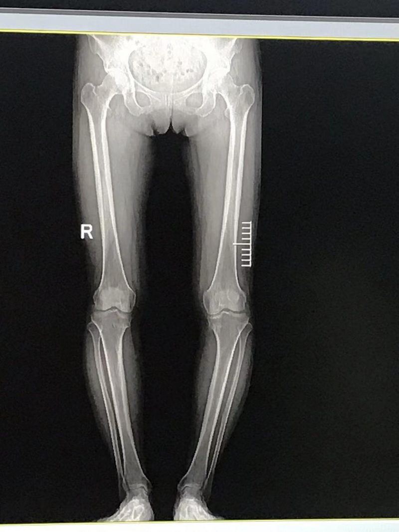 圖片3.png 圖片3.png