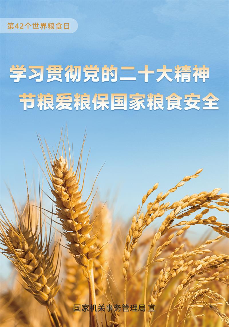 海報(bào)1 學(xué)習(xí) 上網(wǎng)版.jpg