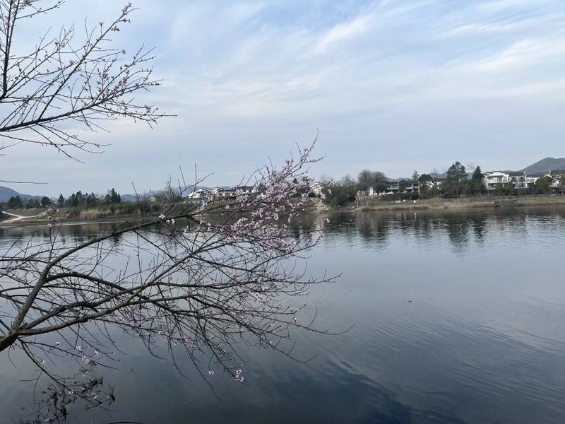 圖片1.png 圖片1.png