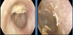 圖片1.png 圖片1.png