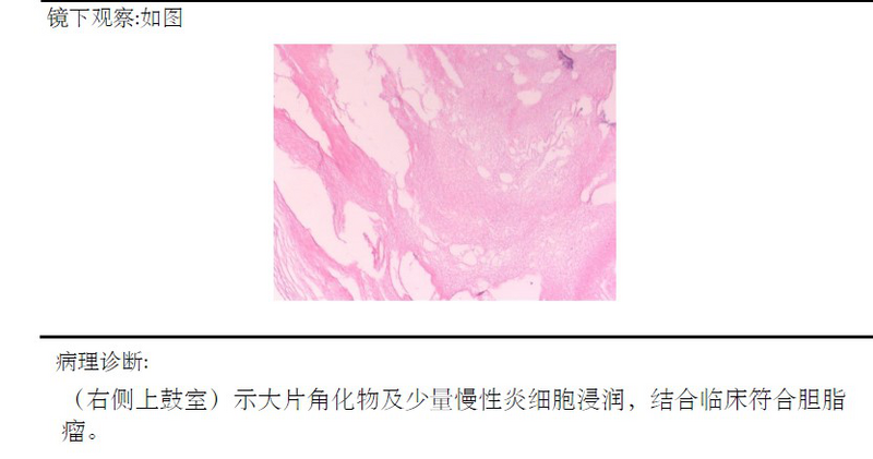 圖片3.png 圖片3.png