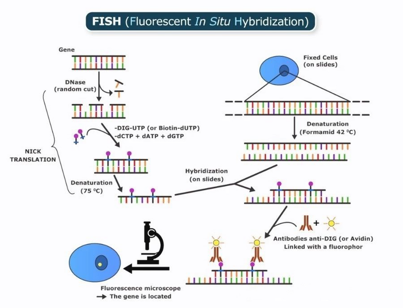 圖片1.png 圖片1.png