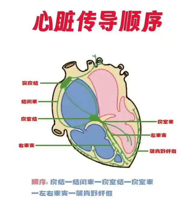 圖片5.png